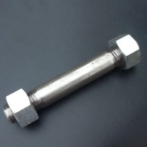 Stud bolt with nuts