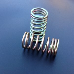 Valve Springs