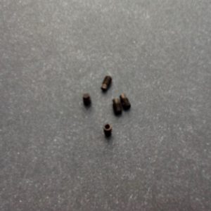 Small Grub Screws 2mm Diameter 4mm Long